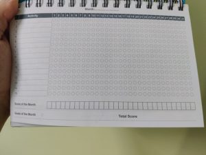 This diary allows you to write daily goals